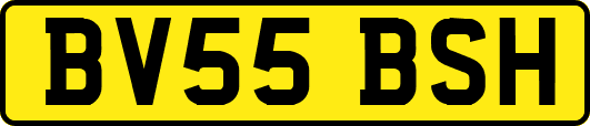 BV55BSH