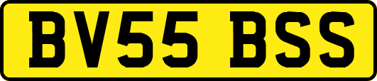 BV55BSS