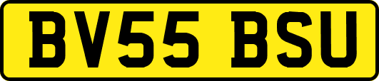 BV55BSU