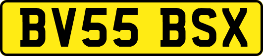 BV55BSX