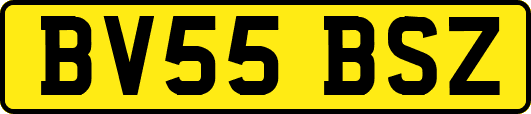 BV55BSZ