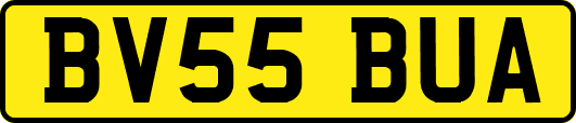 BV55BUA