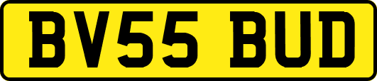 BV55BUD