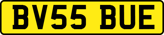 BV55BUE