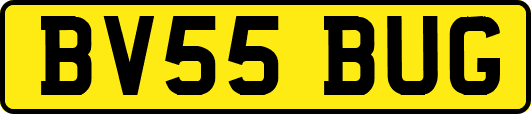 BV55BUG