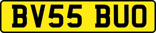 BV55BUO