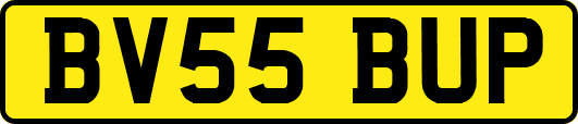 BV55BUP