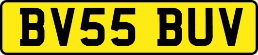 BV55BUV