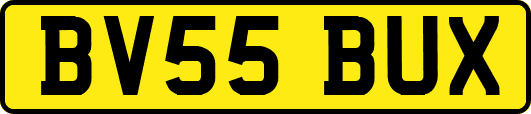 BV55BUX