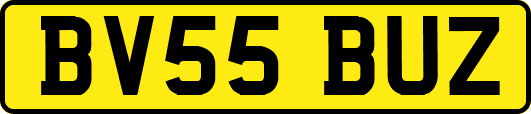 BV55BUZ