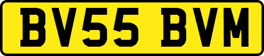 BV55BVM