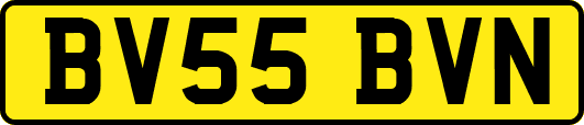 BV55BVN