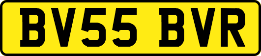 BV55BVR