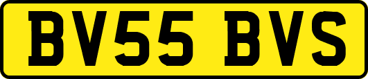 BV55BVS