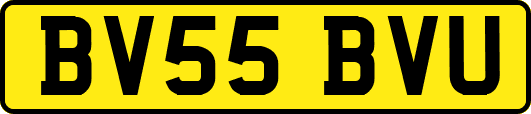 BV55BVU