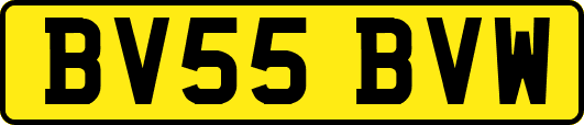 BV55BVW