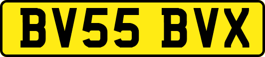 BV55BVX