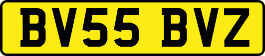 BV55BVZ