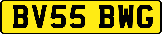 BV55BWG
