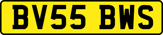 BV55BWS