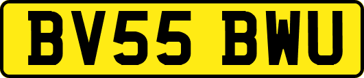 BV55BWU