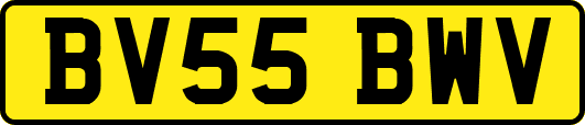 BV55BWV