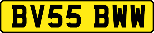 BV55BWW