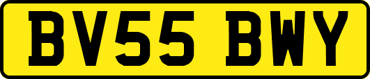 BV55BWY