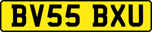 BV55BXU