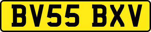 BV55BXV