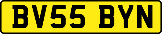 BV55BYN