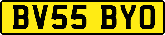 BV55BYO
