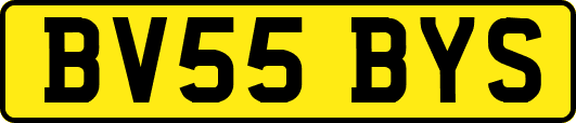 BV55BYS