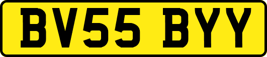BV55BYY
