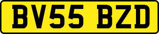 BV55BZD