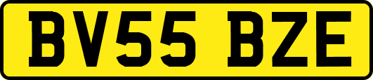BV55BZE