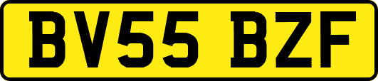 BV55BZF
