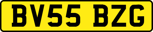BV55BZG