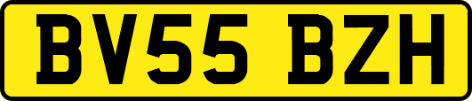 BV55BZH