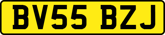 BV55BZJ