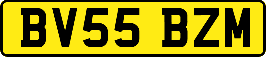 BV55BZM