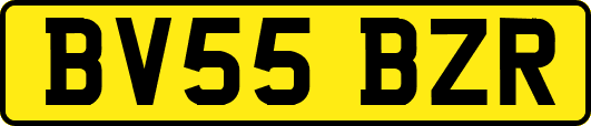 BV55BZR