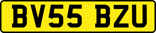 BV55BZU