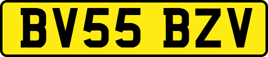 BV55BZV