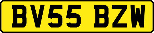 BV55BZW