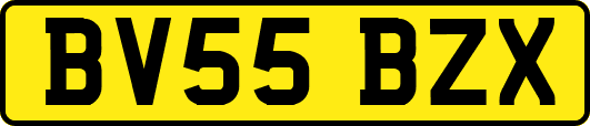 BV55BZX