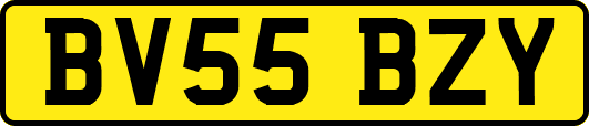 BV55BZY