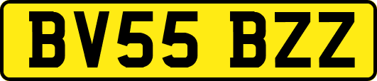 BV55BZZ