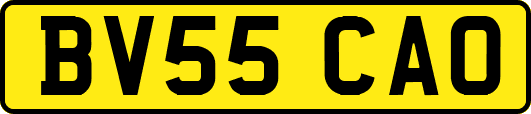 BV55CAO