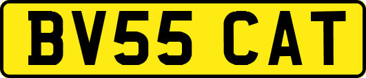 BV55CAT
